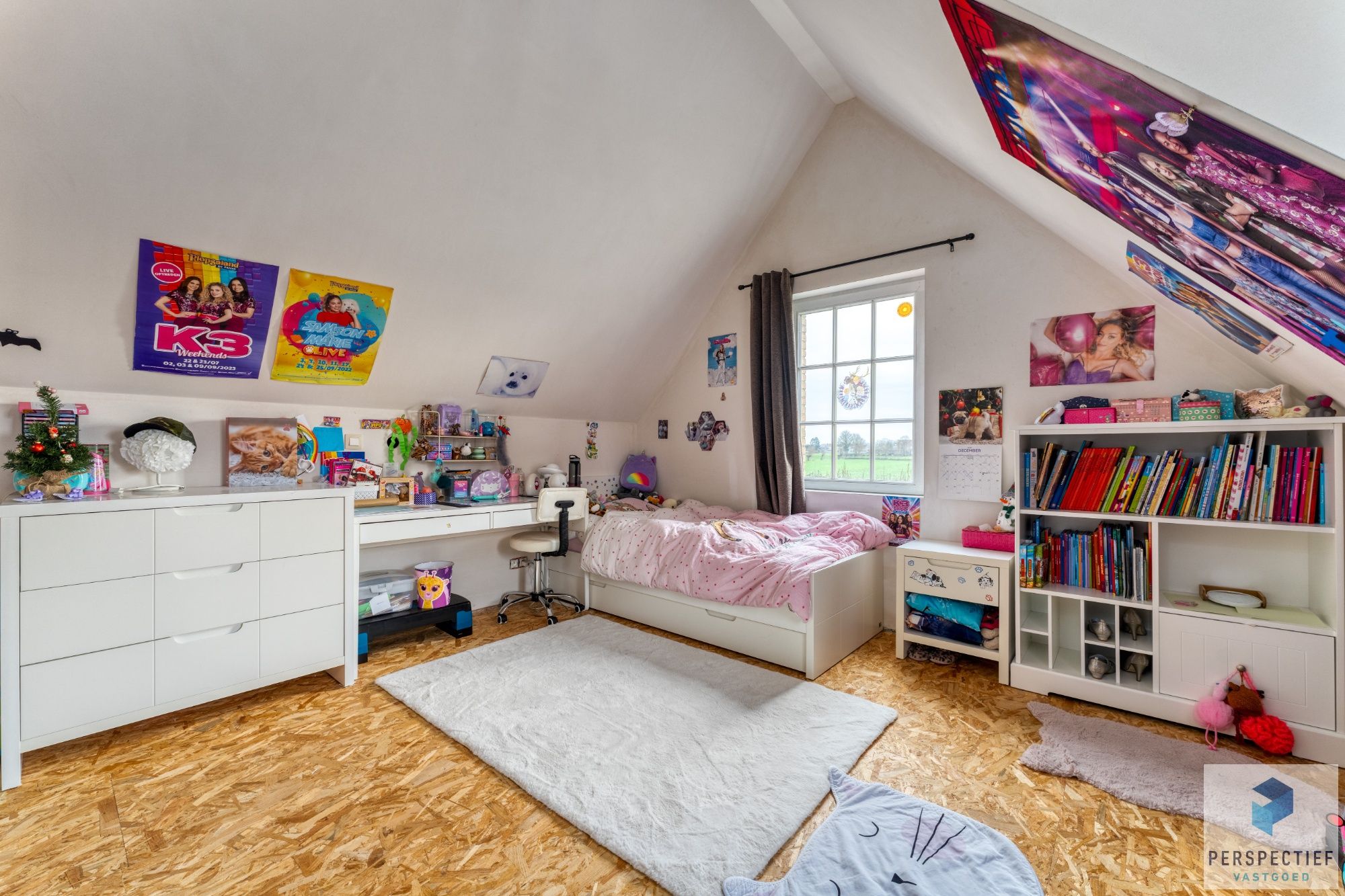 VERDER AF TE WERKEN WONING met PRAKTIJKRUIMTE,  4 SLPKS en TUIN foto 13