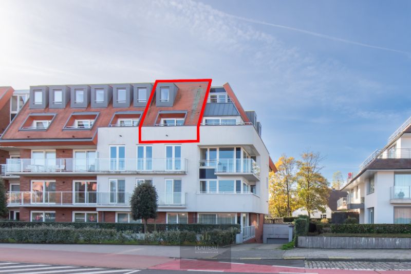 Recent duplex-appartement met één slaapkamer en slaaphoek. foto {{pictureIndex}}