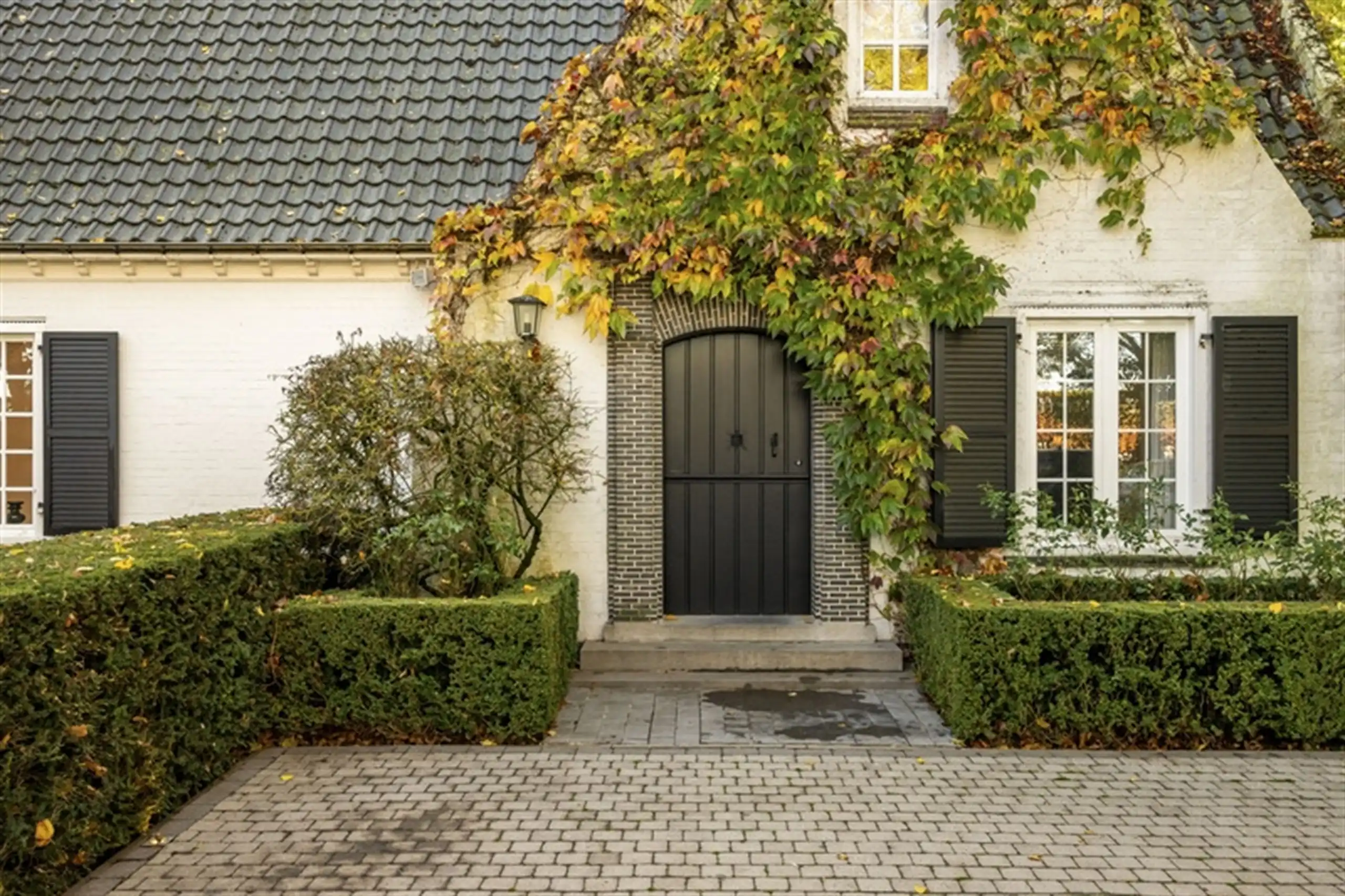 Waardevolle witte vastgoedparel  op 8.679 m² ! foto 8