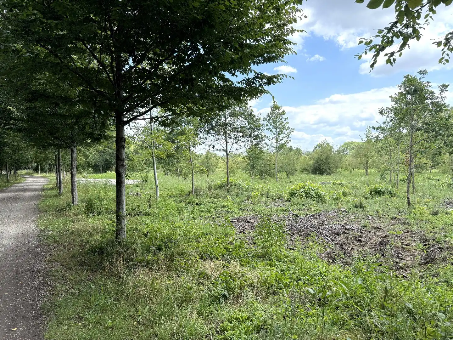 Perceel bos/weiland 5ha in natuurgebied De Kevie te Tongeren foto 5