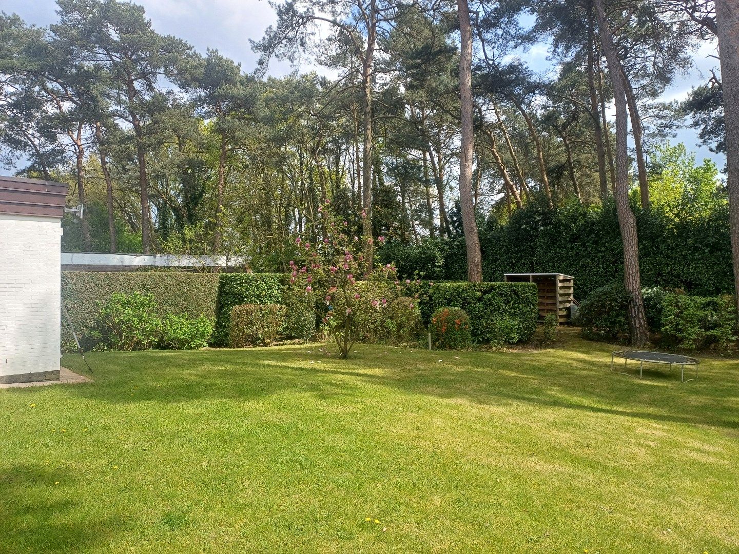 IN OPTIE Instapklare woning op een zeer rustige locatie in het groen met 3 slaapkamers. foto 23
