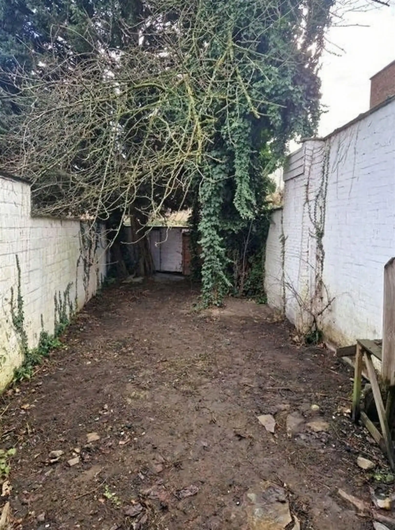 Handelspand met triplex appartement in centrum Mortsel. foto 13