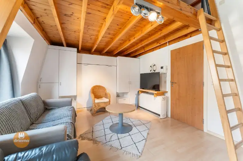 STUDIO IN DE BUURT VAN HET STRAND foto 7