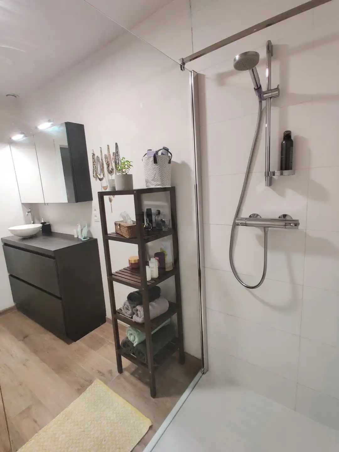 GIJZEGEM - Gelijkvloers appartement met tuin en staanplaats. foto 9