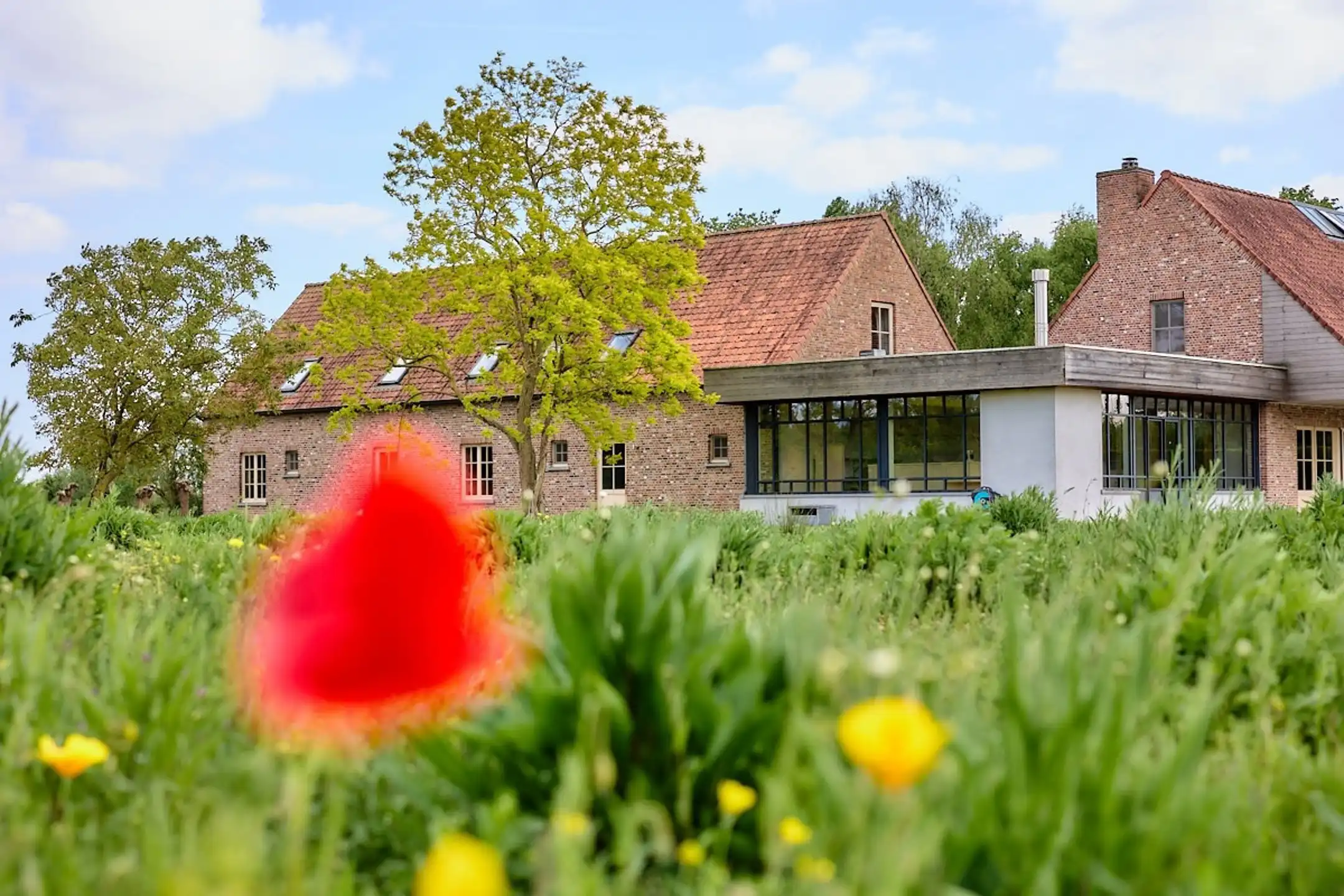 Unieke hoeve met uitzonderlijk potentieel  foto 2