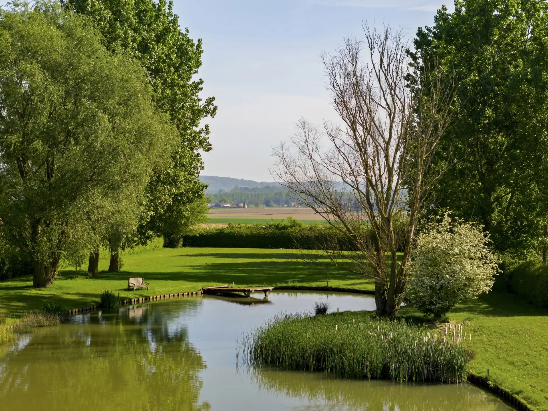 Prachtige exclusieve vierkantshoeve (mog. tot 8 hectare). foto 12
