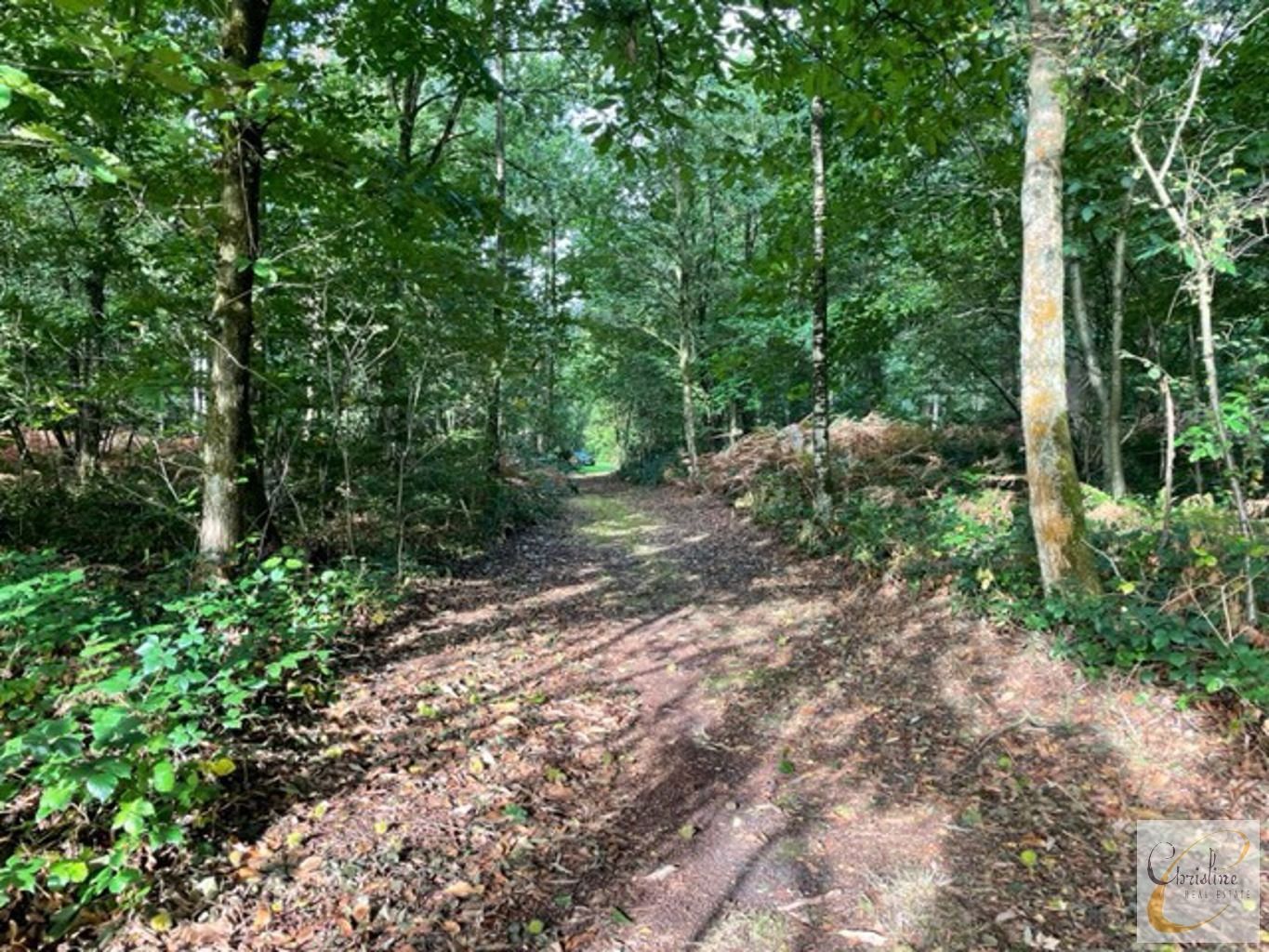 Unieke grond in recreatiegebied foto 7