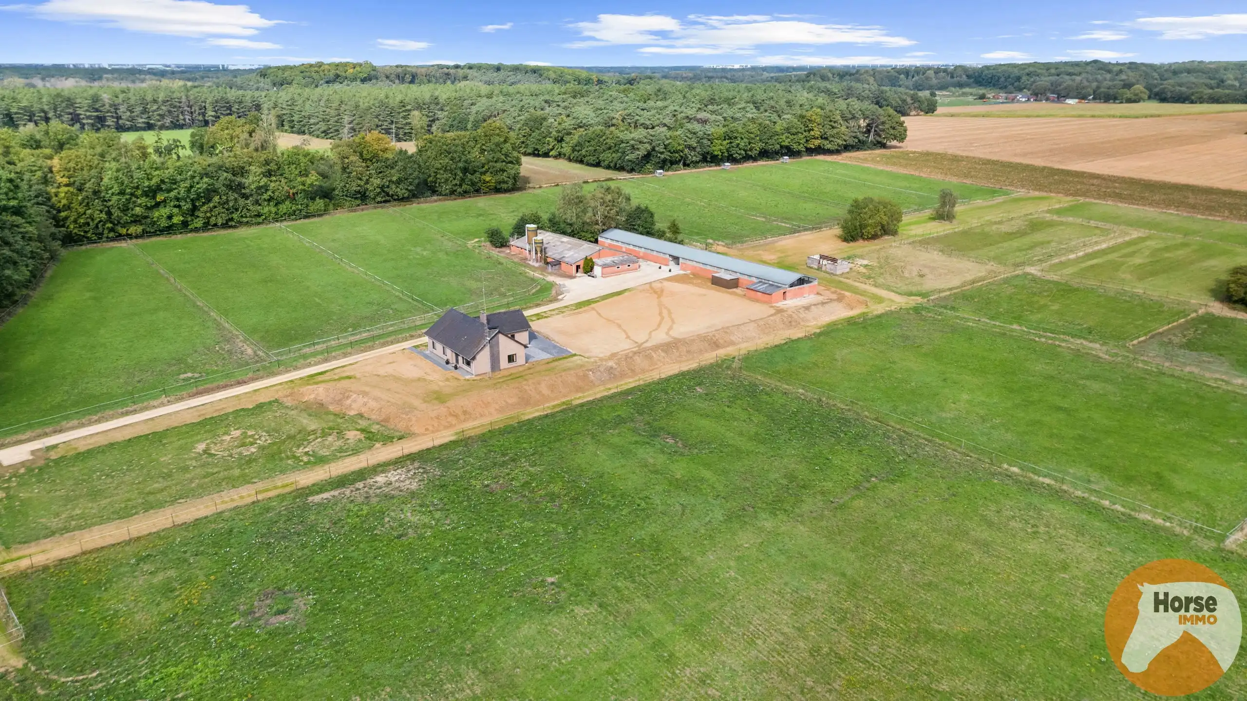 SCHAFFEN - Landbouwwoning op +/- 6,7 ha en paardenstalling foto 3