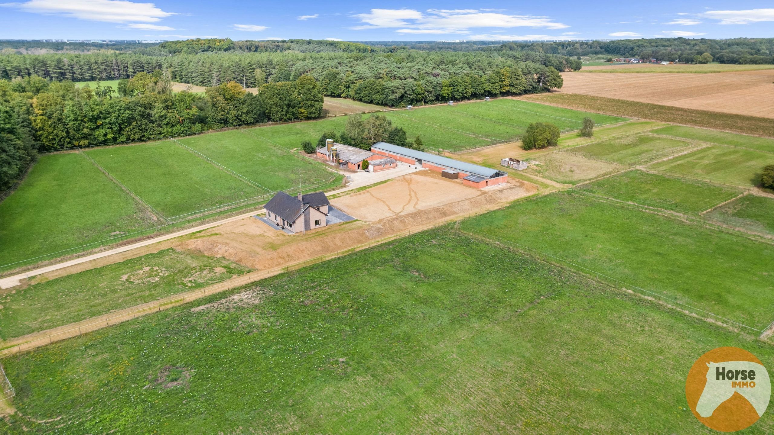 SCHAFFEN - Landbouwwoning op +/- 6,7 ha en paardenstalling foto 3