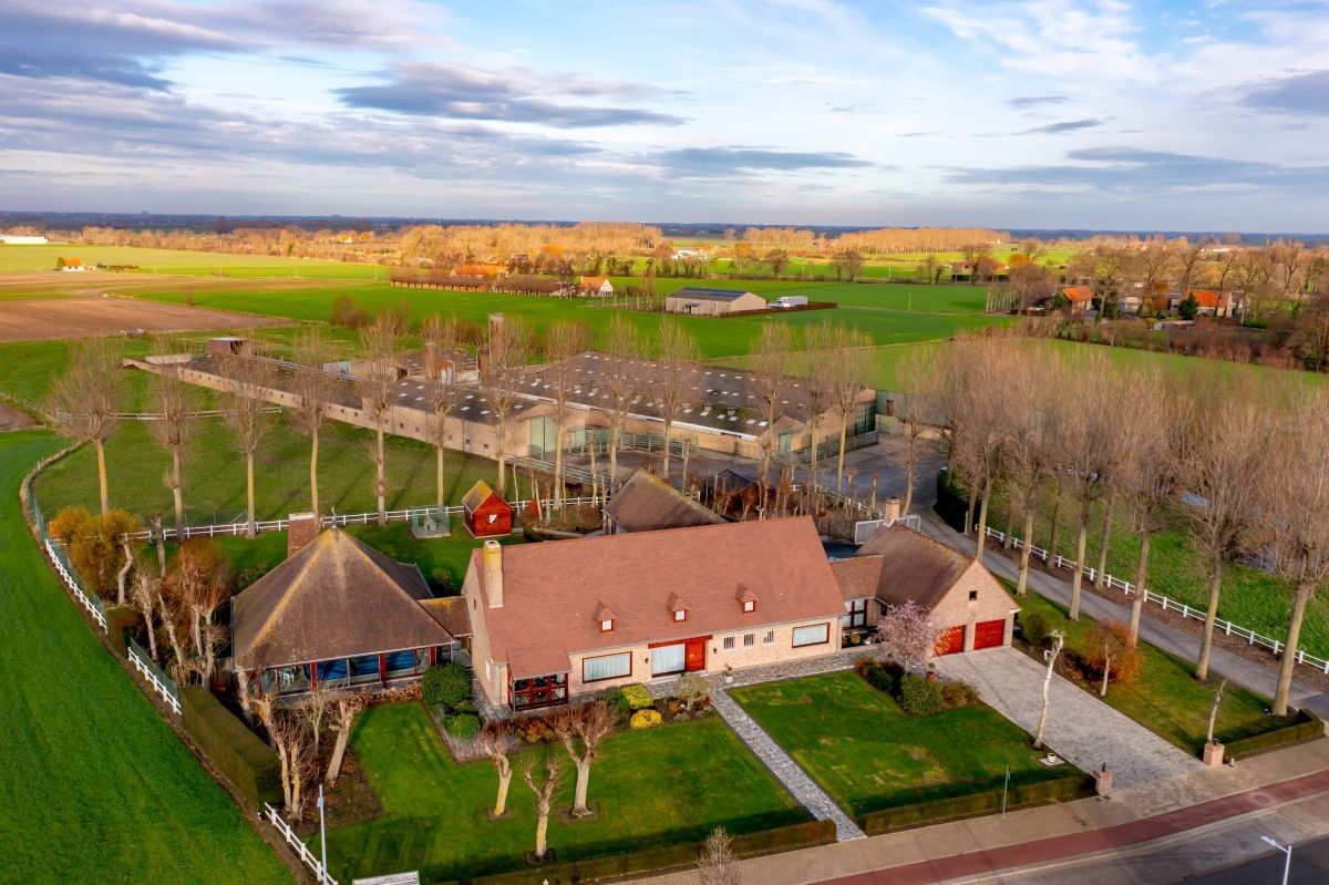 Vleesveebedrijf te koop op 3,29 ha te koop te Alveringem foto 2