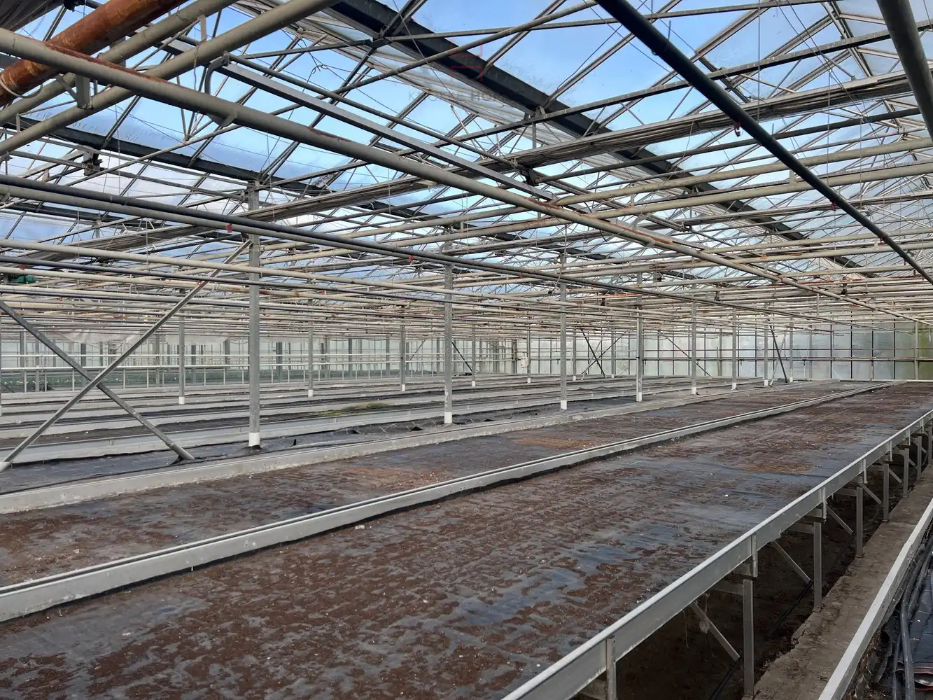 Ca.5.000 m2 serres met loods - bestemd voor agrarische doeleinden. foto 11