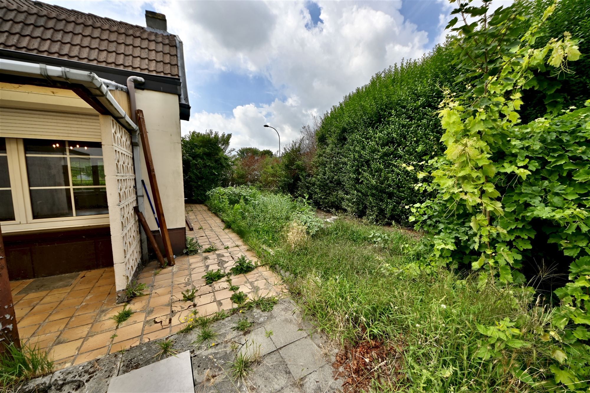 Te renoveren woning met 2 slaapkamers en tuin.  foto 14