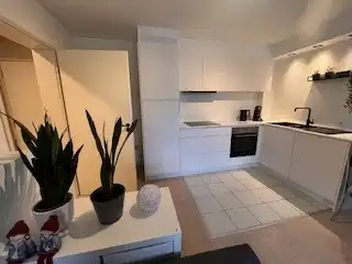 Zonnig appartement  in de Duinenwijk van Oostende .   Direct bij zee !   Zeer goede belegging  dichtbij zee !     Vakantie of woonst.  foto 3