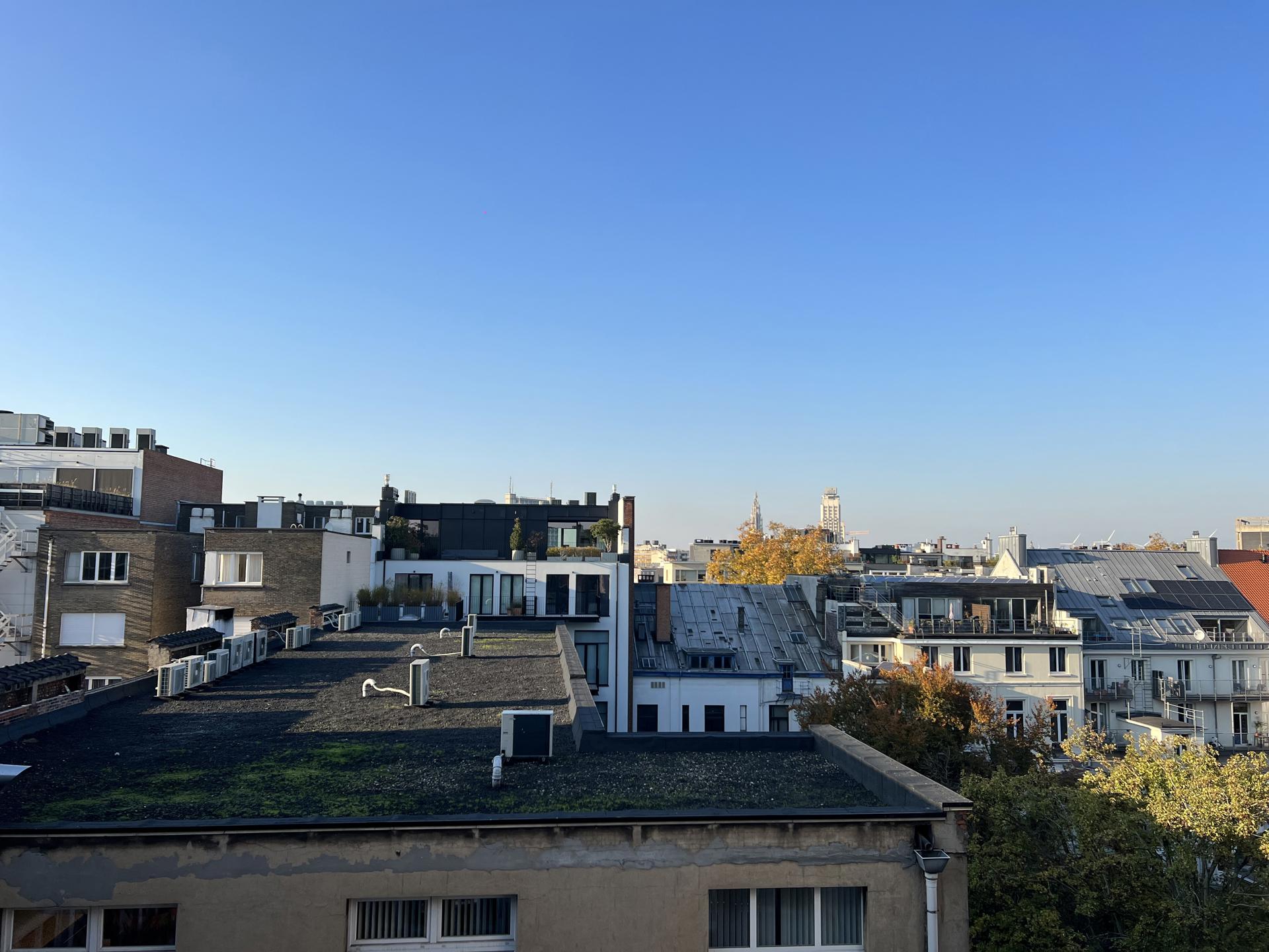 Gerenoveerd appartement met zicht op het park foto 12