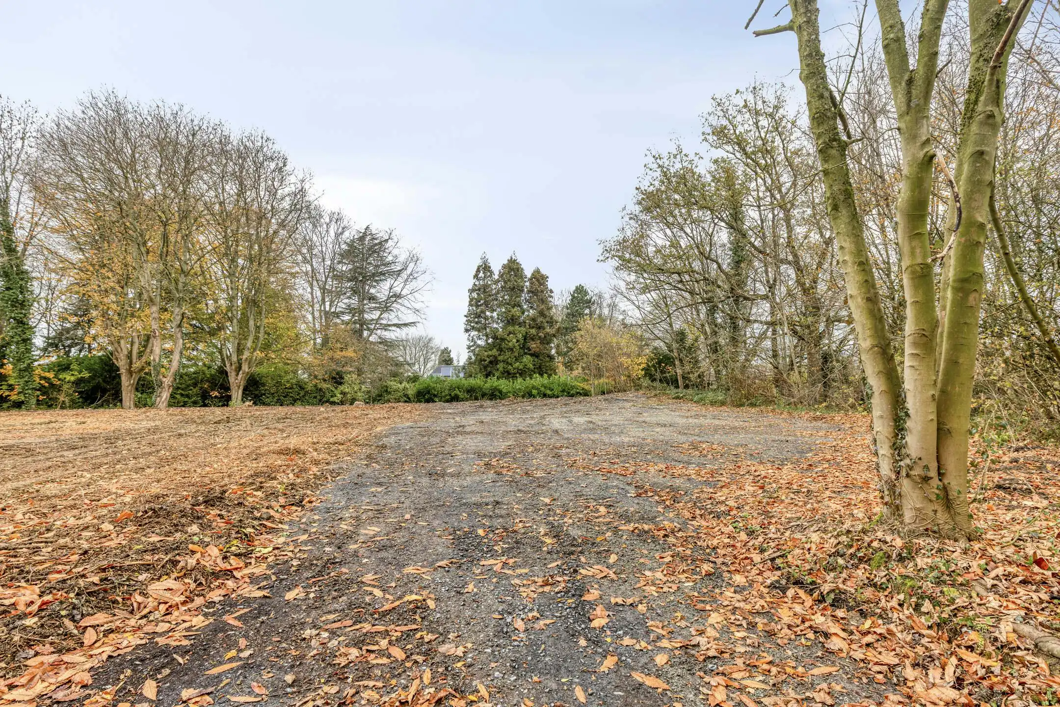Unieke bouwgrond (5792m²) met fenomenaal zicht te Oudenaarde. foto 5