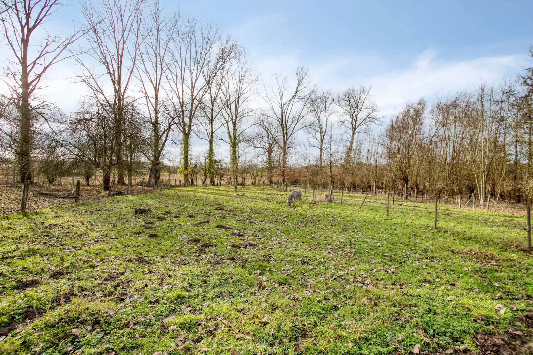 Open bebouwing op 8035 m² met idyllische ligging foto 27