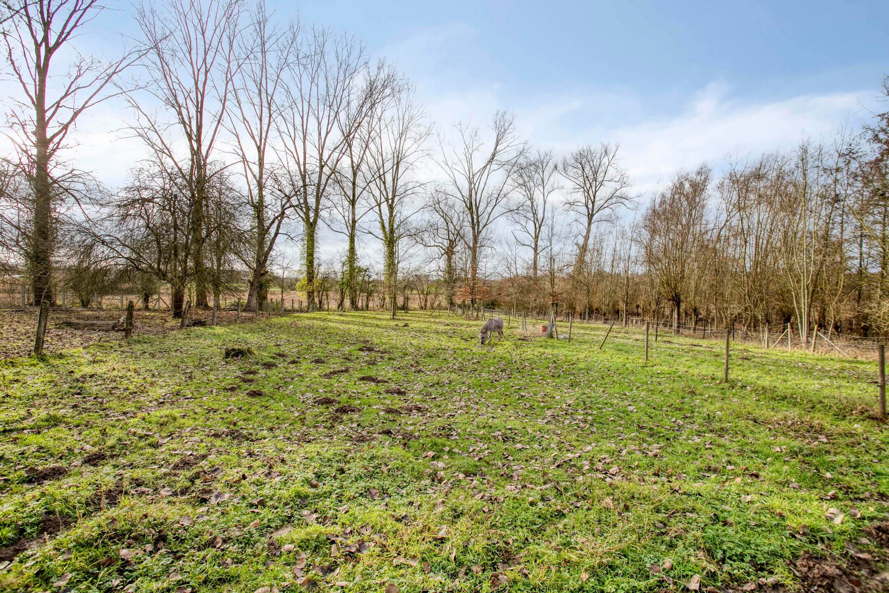 Open bebouwing op 8035 m² met idyllische ligging foto 27