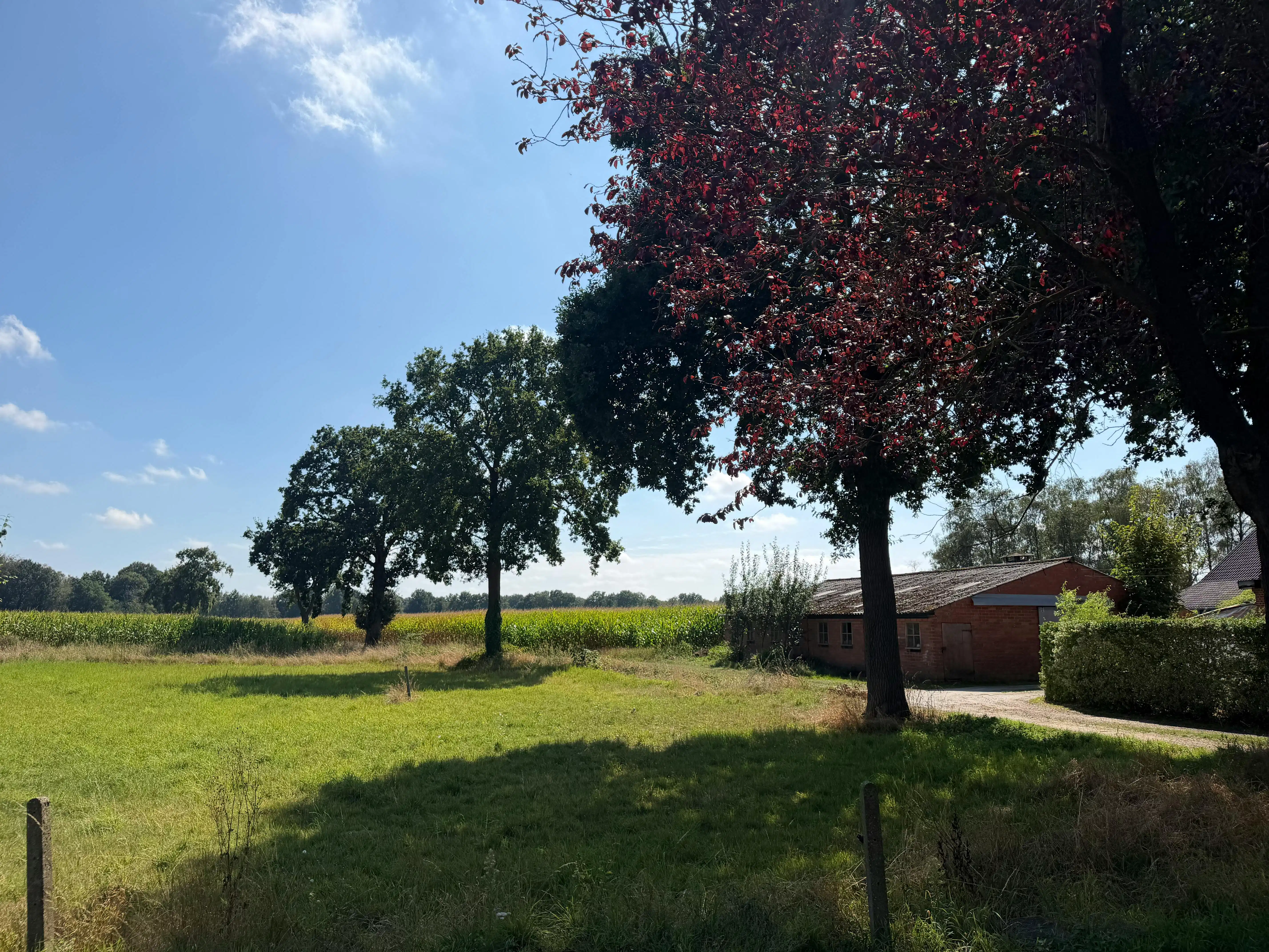 Zuidgerichte bouwgrond met zicht op velden te koop - Brecht foto 5