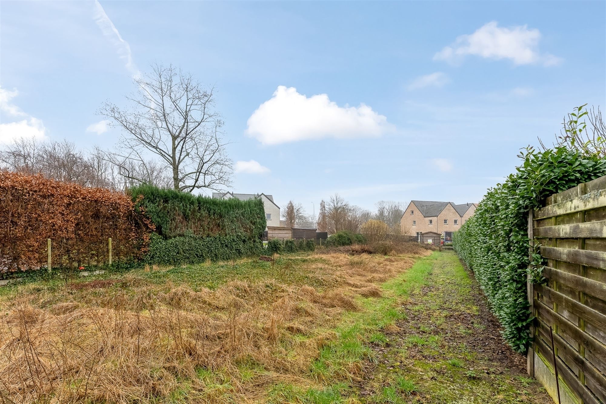 ZUIDELIJK GEORIËNTEERDE BOUWGROND VOOR HOB VAN 1045M² foto 6