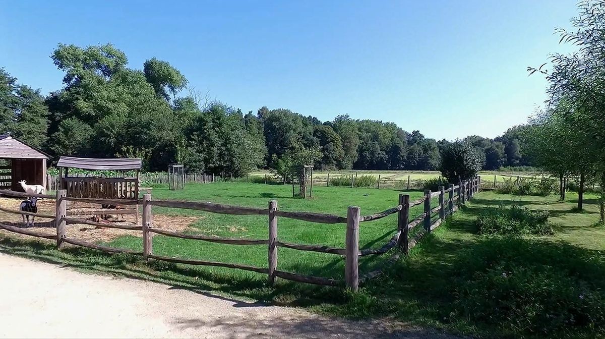 Hoeve met recreatie te koop centrum Tessenderlo op circa 2 ha foto 14