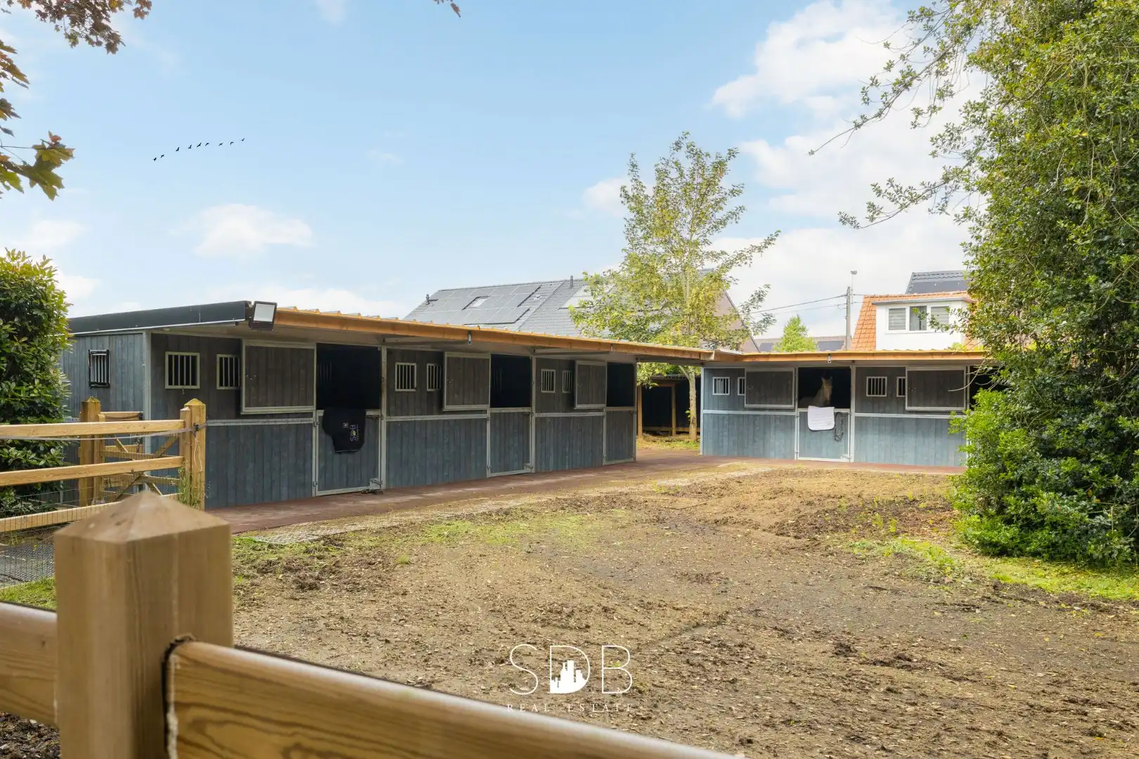 Prachtige villa met zwembad, paardenstallen, paddock en grasland op 1,3HA foto 41