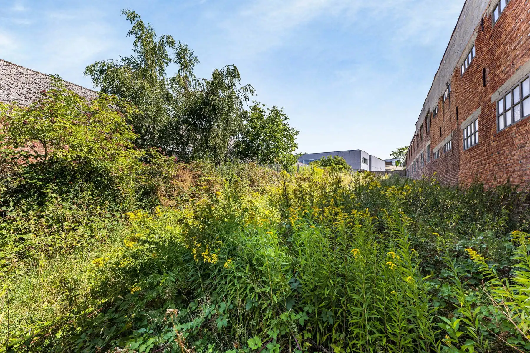 Te renoveren woning met veel mogelijkheden en garage foto 11