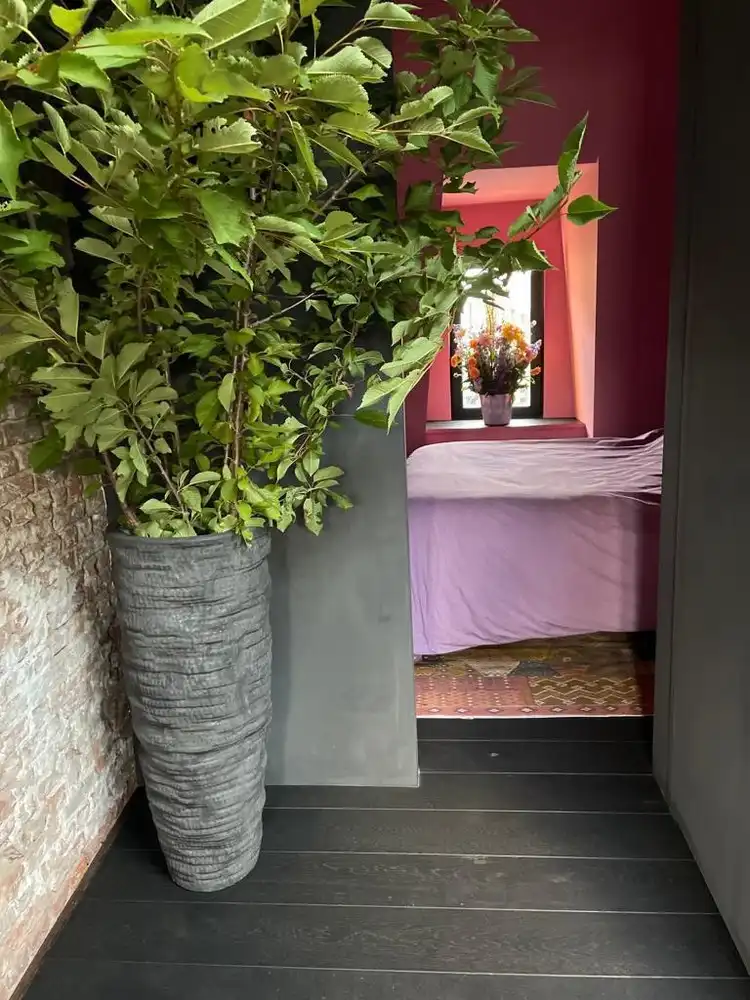 Karaktervolle erfgoedwoning op topligging tegenover de Sint-Gummaruskerk. foto 37