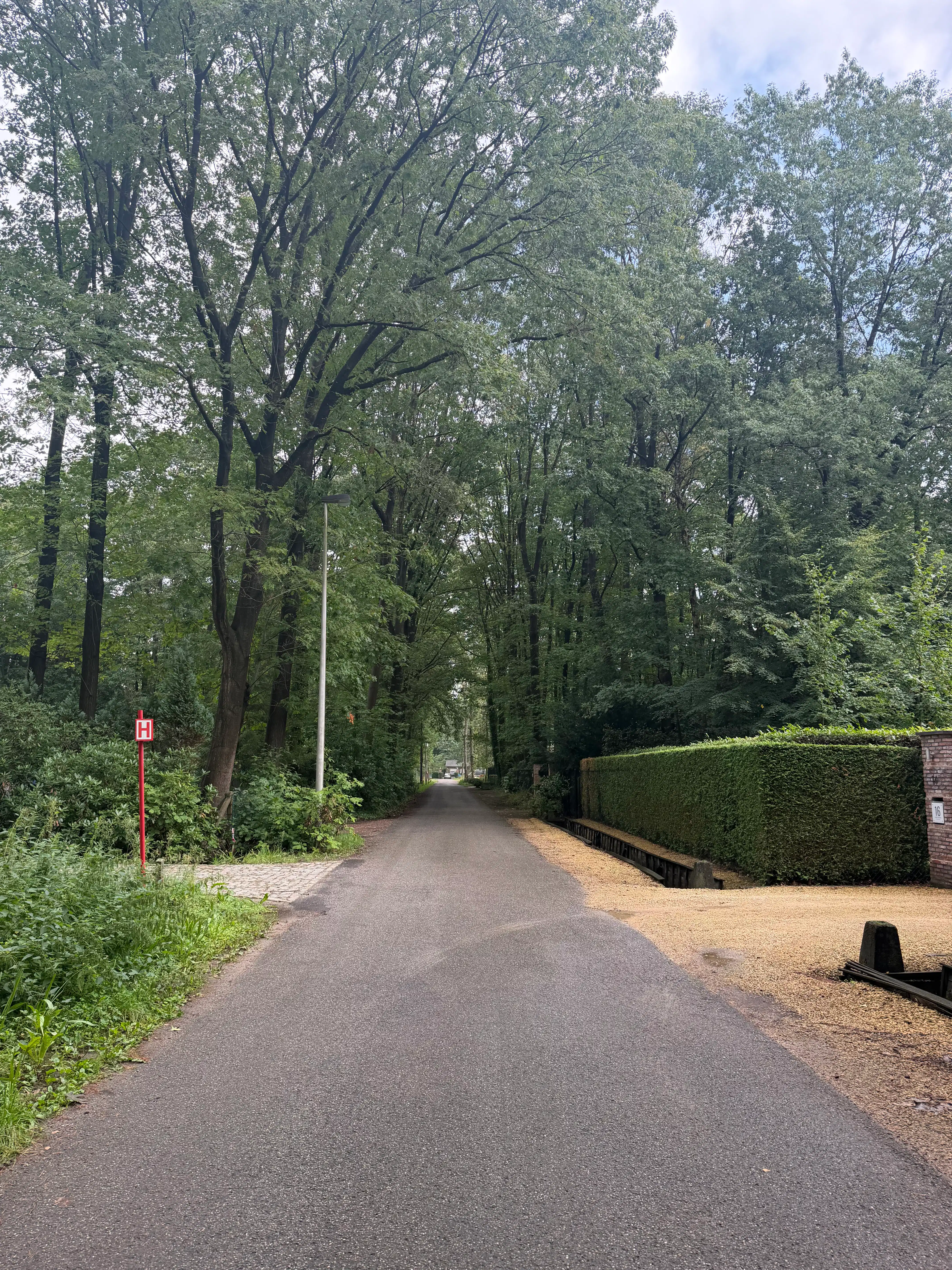 Prachtige bouwgrond 4250M2 met kleine woning erop. Oase van groen , rustig, veel privacy! foto 9