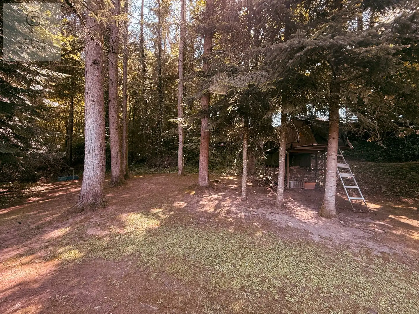 Exclusieve Dubbele Chalet foto 25