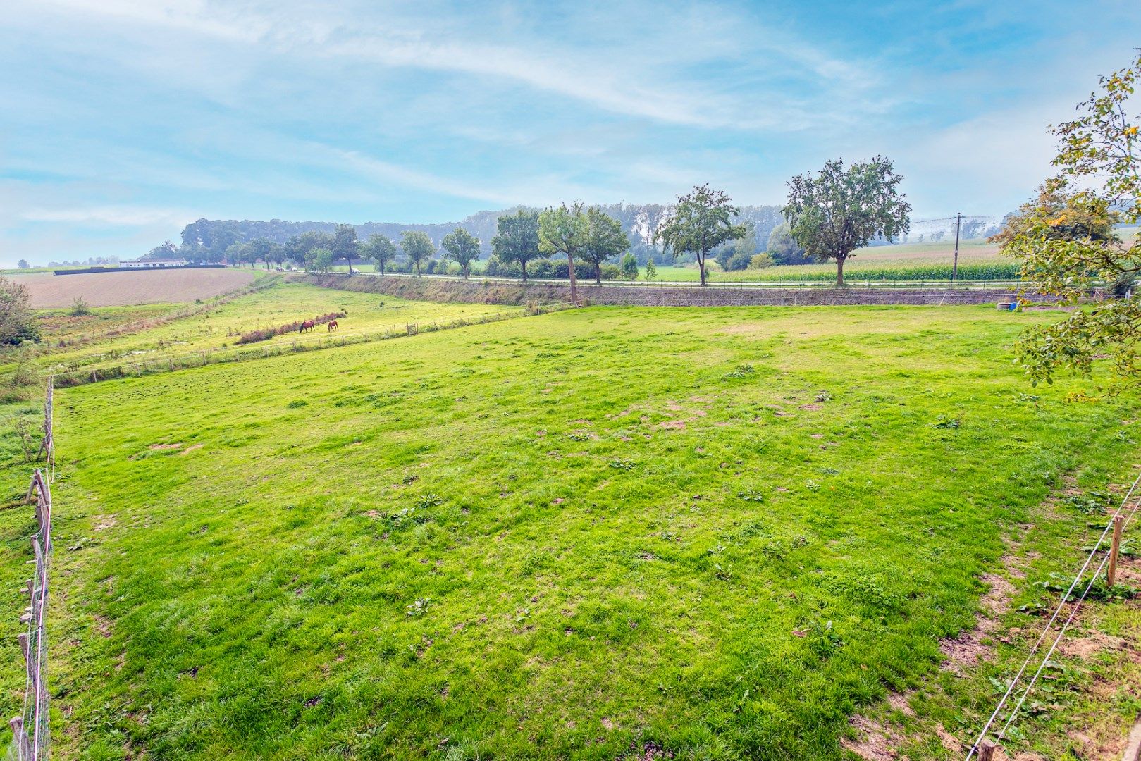 Instapklare hoeve op 1,1ha te Pepingen foto 28