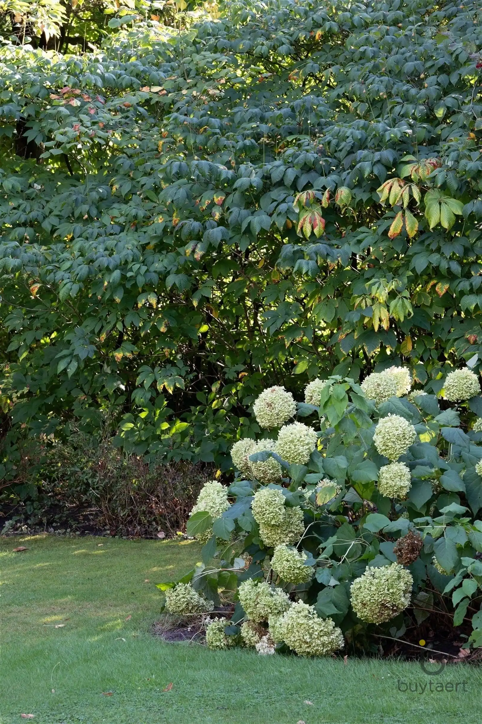 EXCLUSIEF: stijlvolle villa met een tijdloze inrichting op een toplocatie te Schilde! foto 96