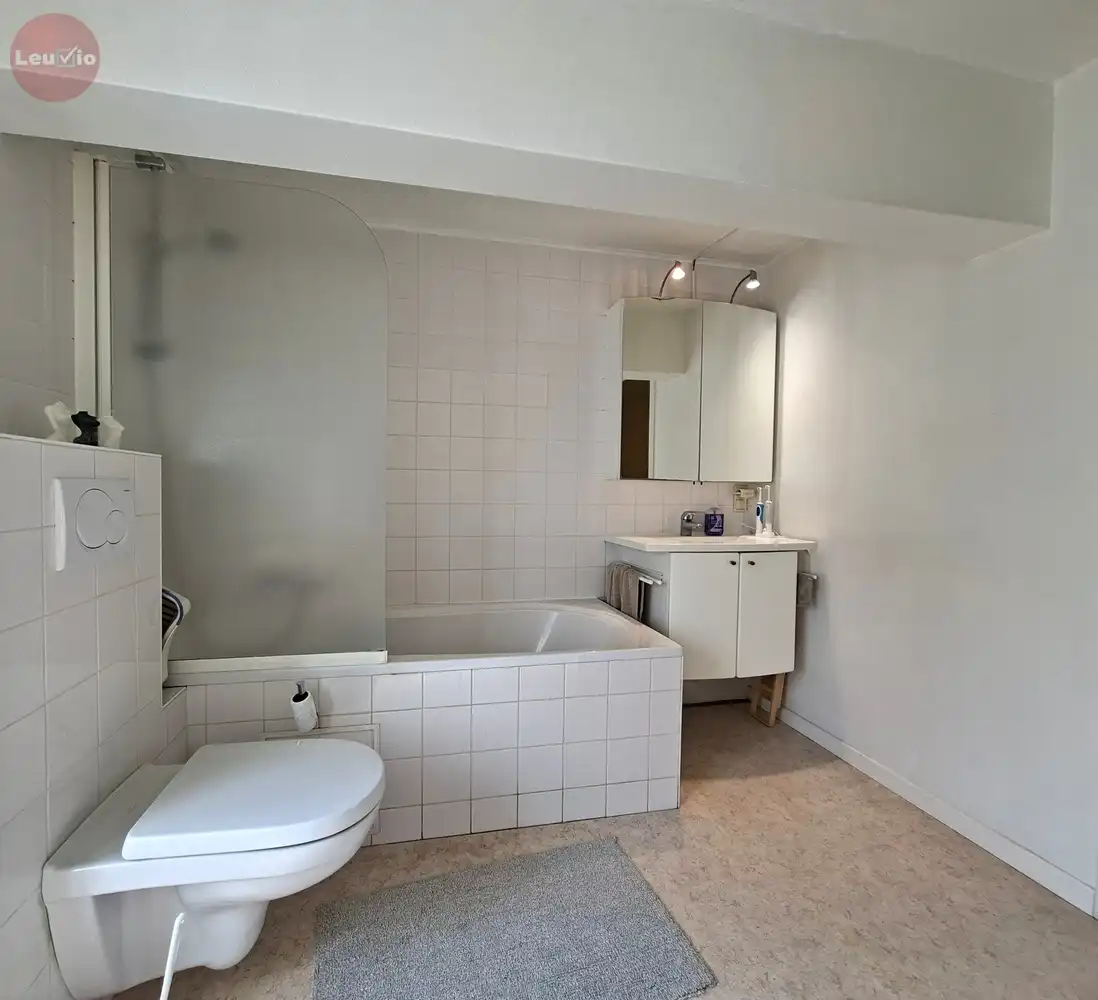 Ruime woning op rustige locatie in Leuvense stadsrand foto 19