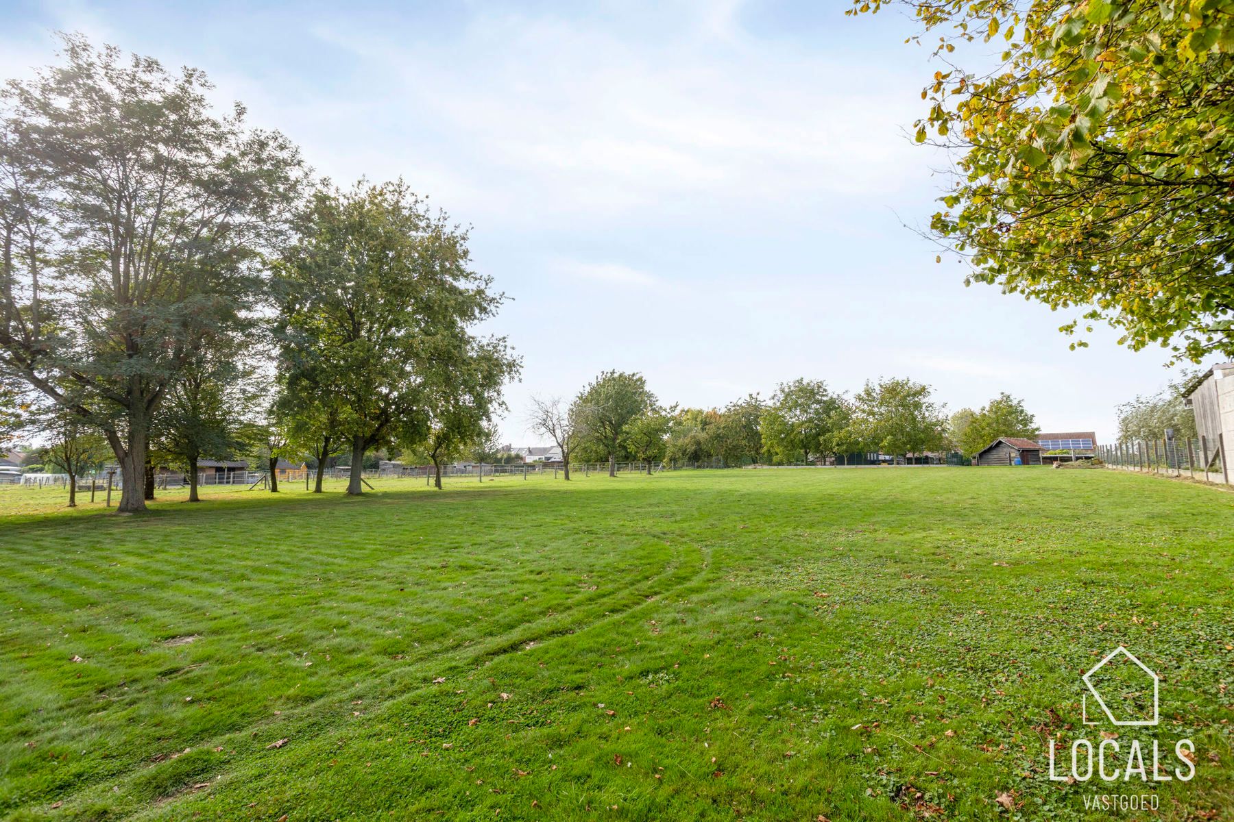 Ruime open bebouwing met grote tuin in Denderwindeke foto 27