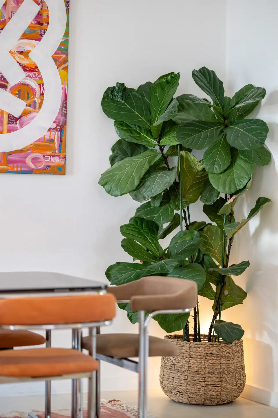 Mooi, volledig gerenoveerd huis - 4 slaapkamers foto 7