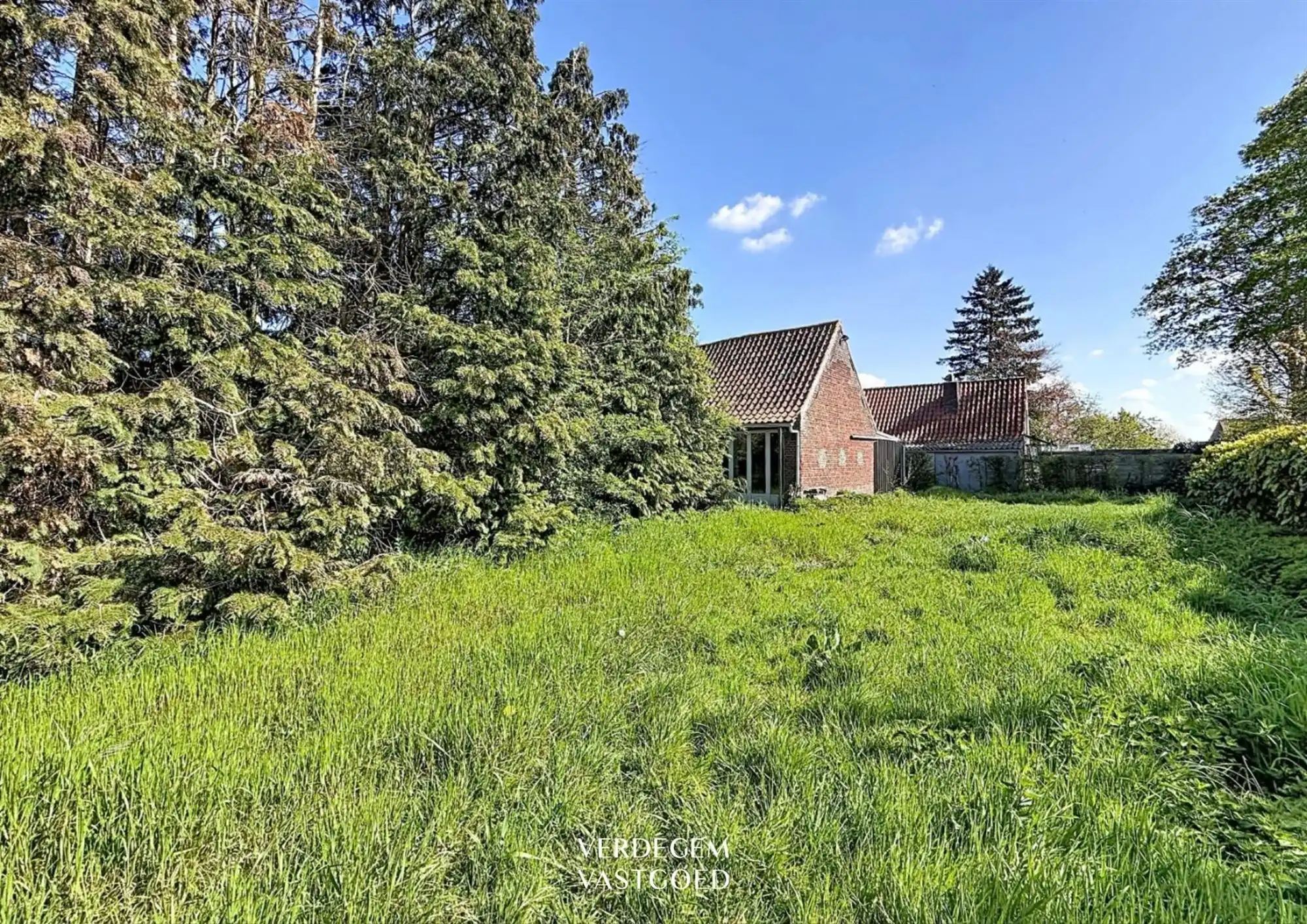 Te renoveren hoeve met schuur op een terrein van 1.634m² foto 5