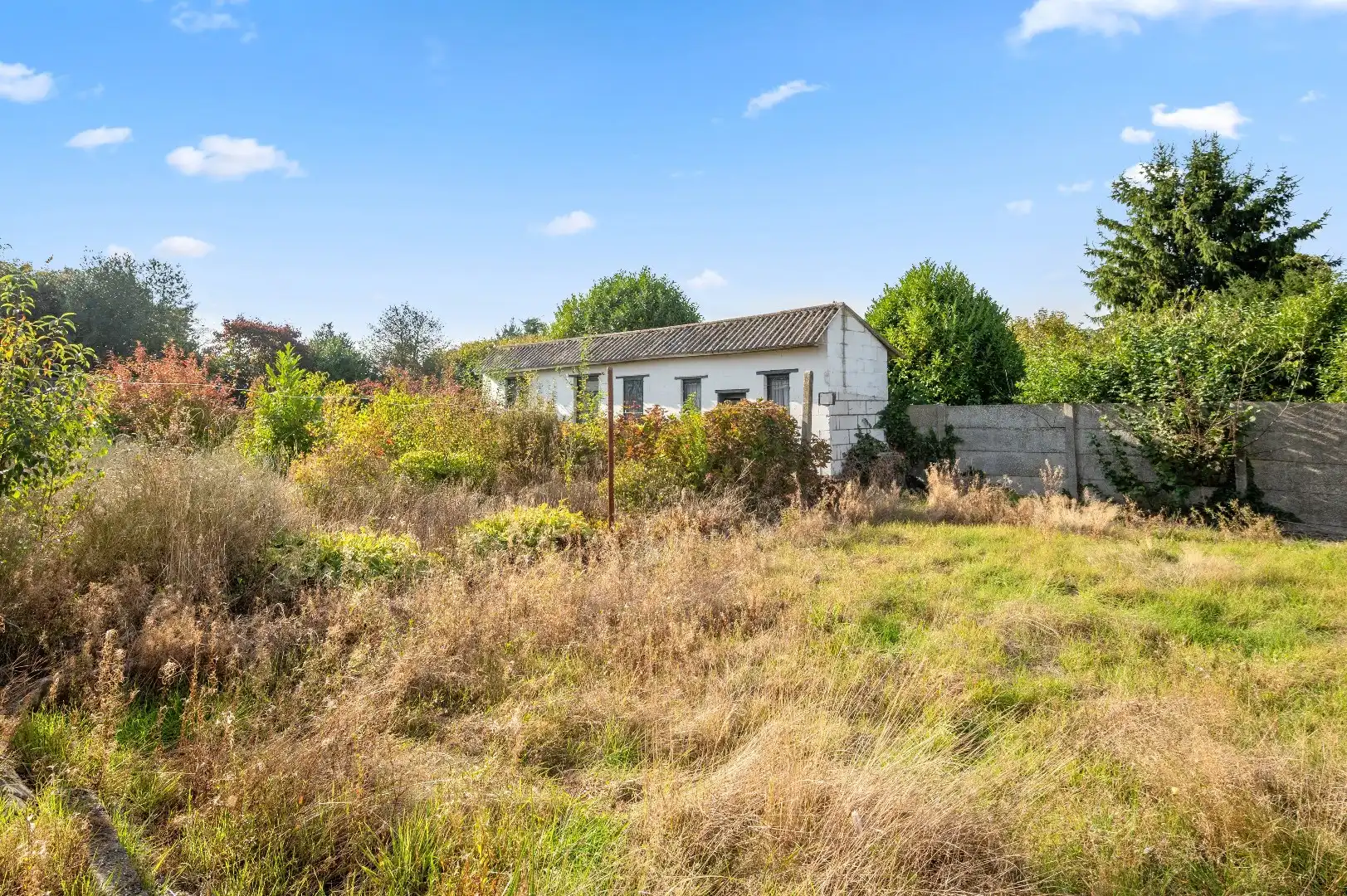 Landelijk gelegen te renoveren HOB op 8a 08ca foto 25