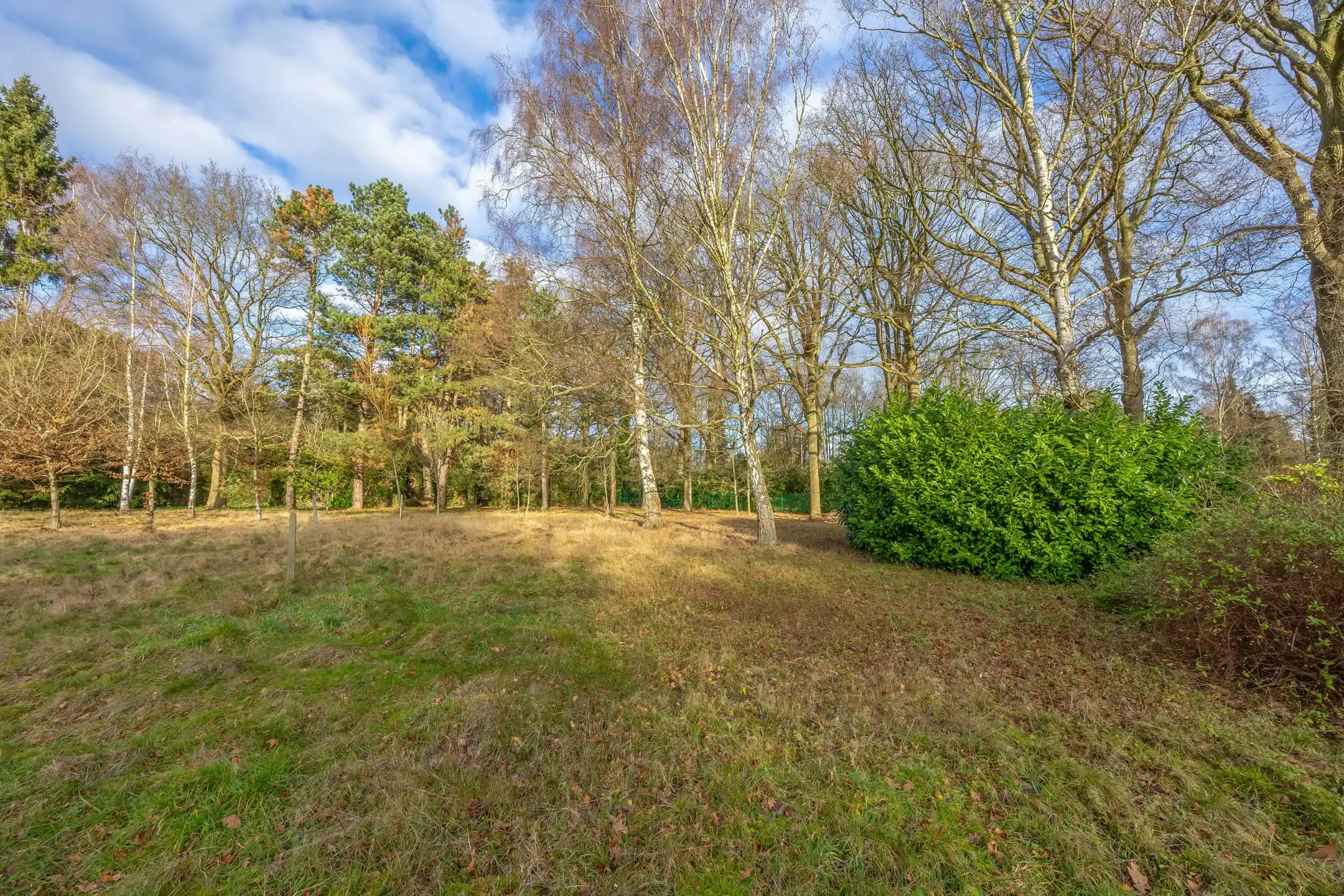 Ruime bouwgrond van 3.010 m² op centrale locatie foto 8