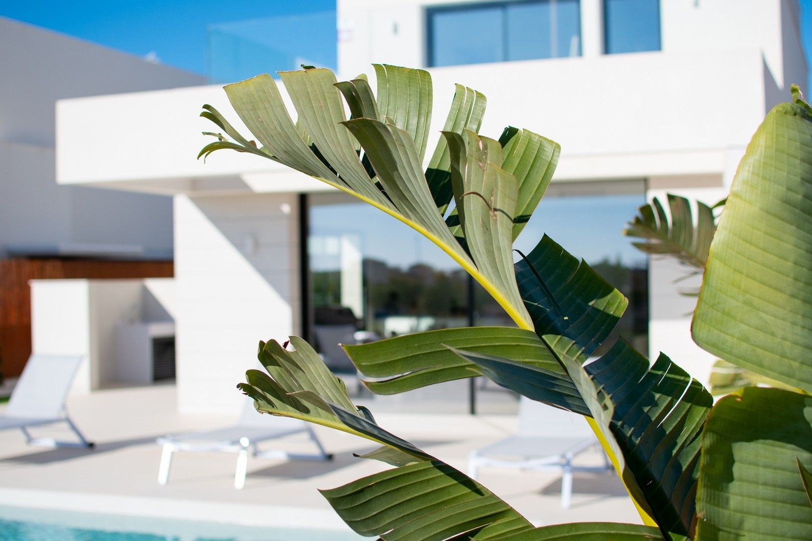 Villas Los Montesinos - La Herrada foto 4