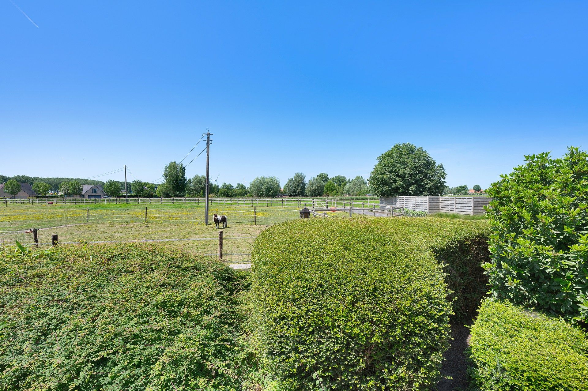 Unieke eigendom voor paardenliefhebbers te Knokke-Heist foto 19