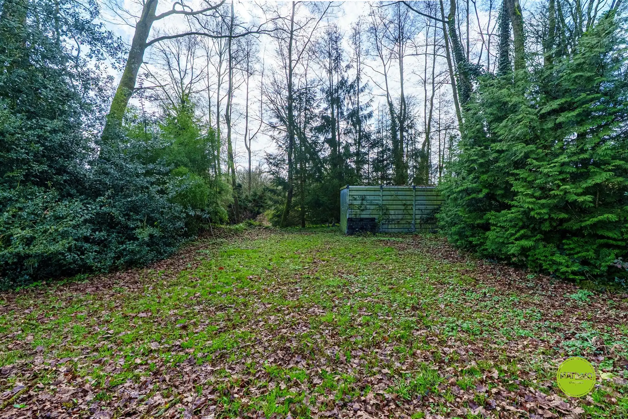 Uniek stukje natuur met twee visvijvers van 6.638 m² foto 6