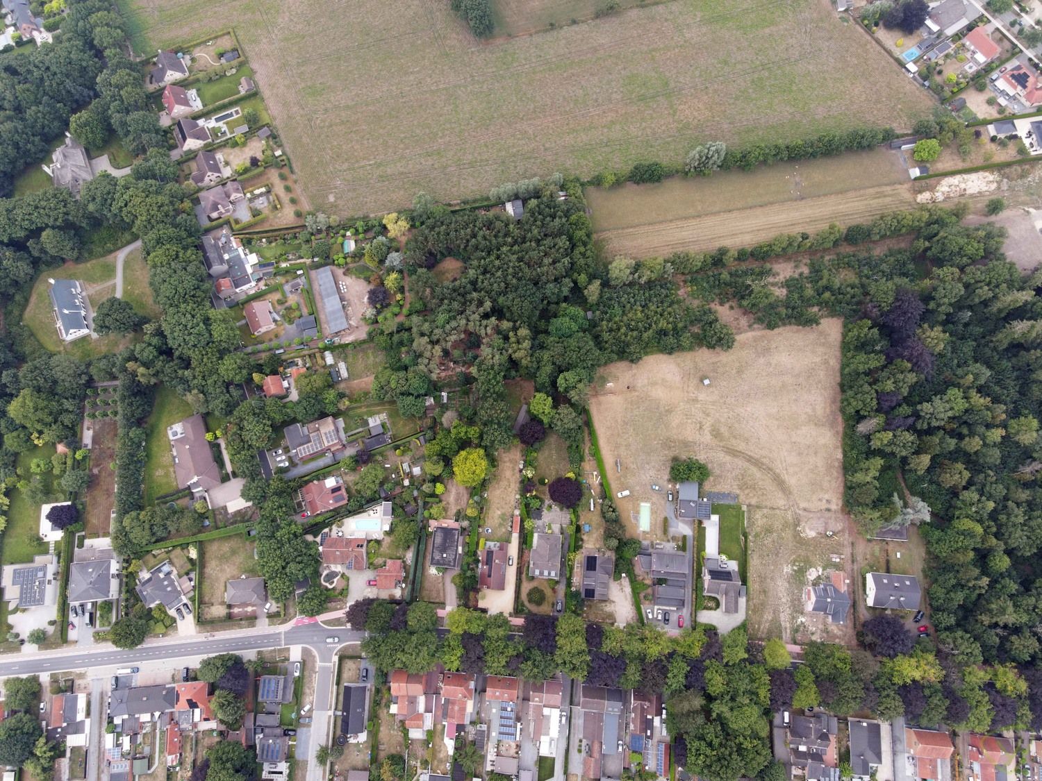 Vrijstaande te renoveren villa op uitzonderlijk groot perceel met bosgrond in Lembeke foto 33