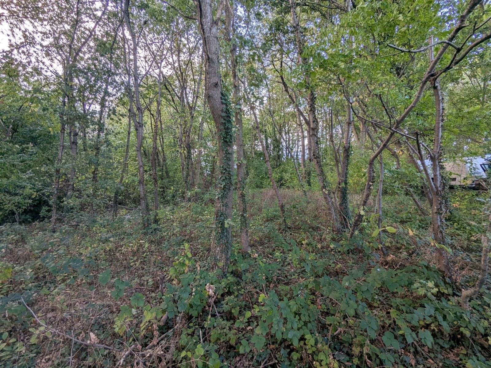 Grote hoeve A label met opslagplaats op perceel 3550m² foto 33