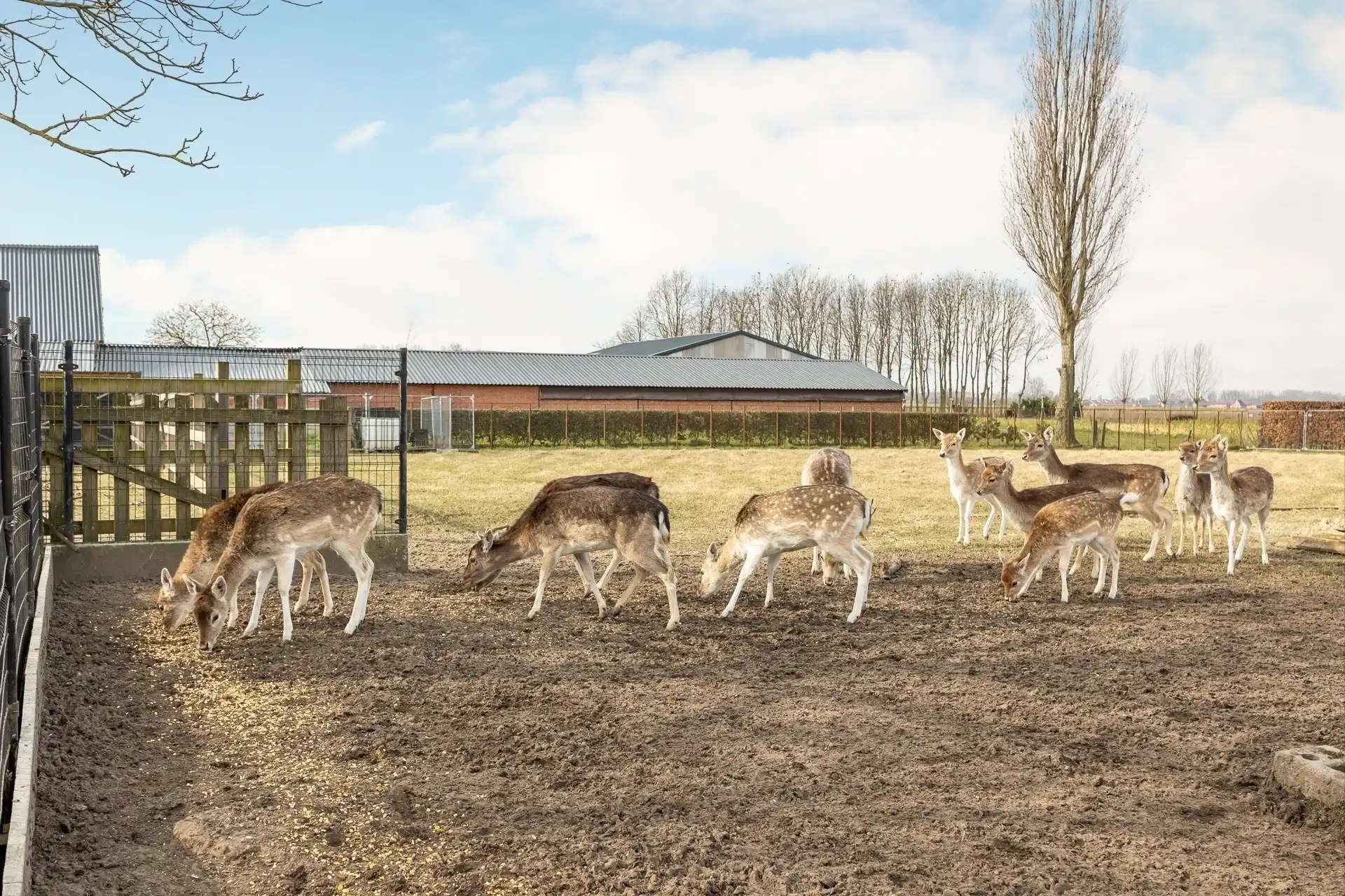 Ruime woning met bijbouw en weide op perceel van 6790 m²  foto 30