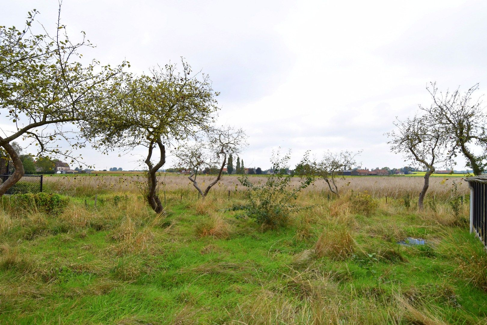Te renoveren alleenstaande woning met prachtig landelijk vergezicht foto 4