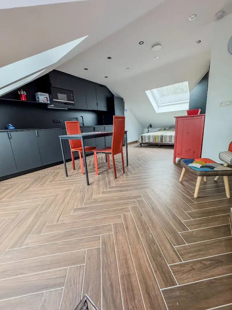 Gerenoveerde & bemeubelde studio te huur in centrum Leuven foto 4