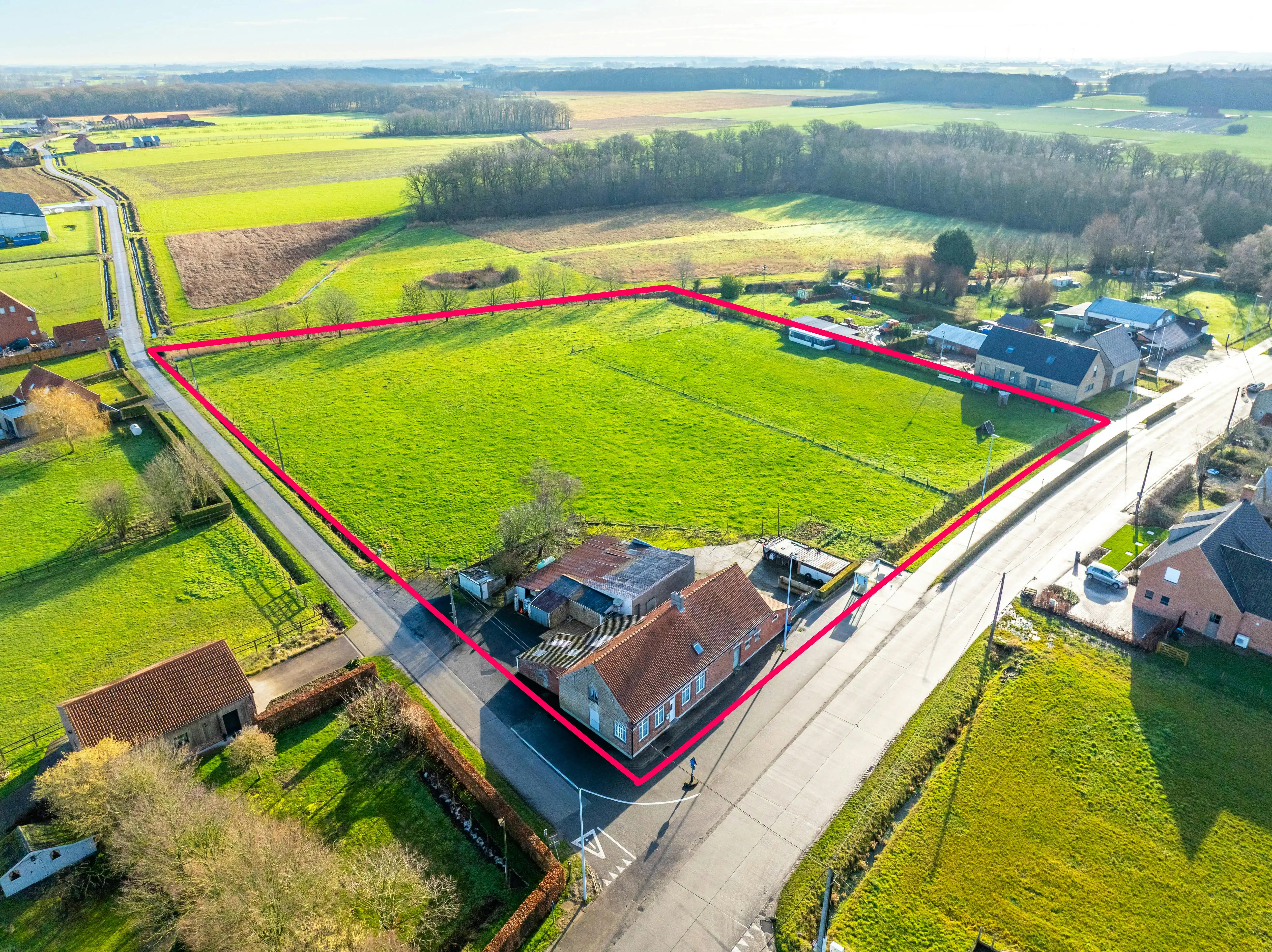 Alleenstaand huis met weide te koop op 12.055 m² foto 19