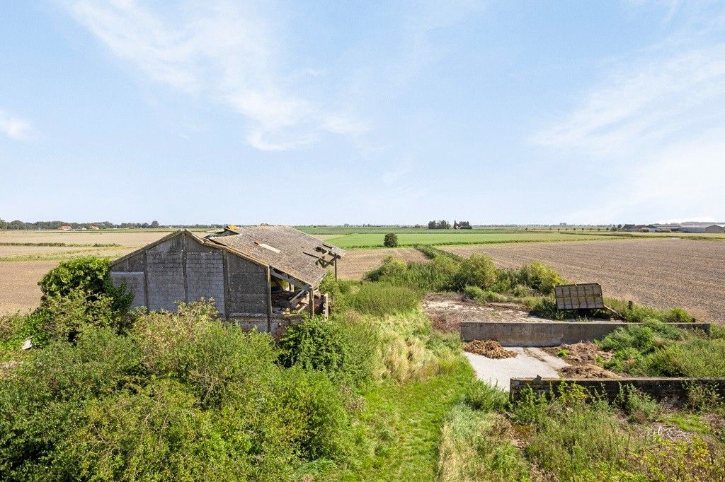 ADINKERKE: Te renoveren hoeve in een vredige en idyllische omgeving met vlotte verbinding richting kust op 3.570m² grondoppervlakte. foto 22