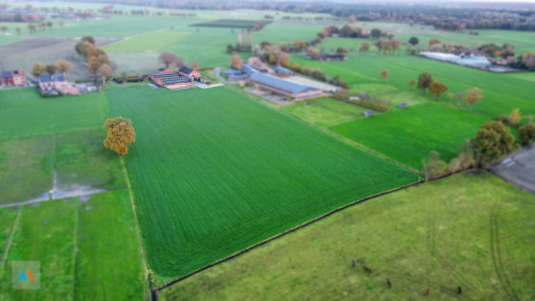 Boerderij met landbouwgrond foto 34