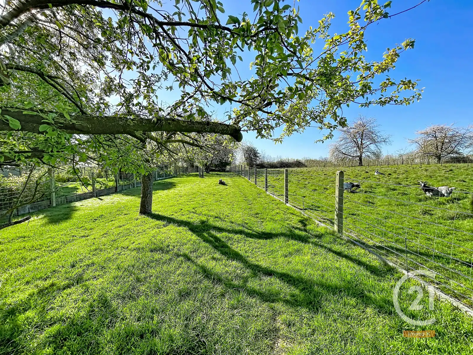 Knusse instapklare woning met ruime tuin en weide nabij E40 foto 29