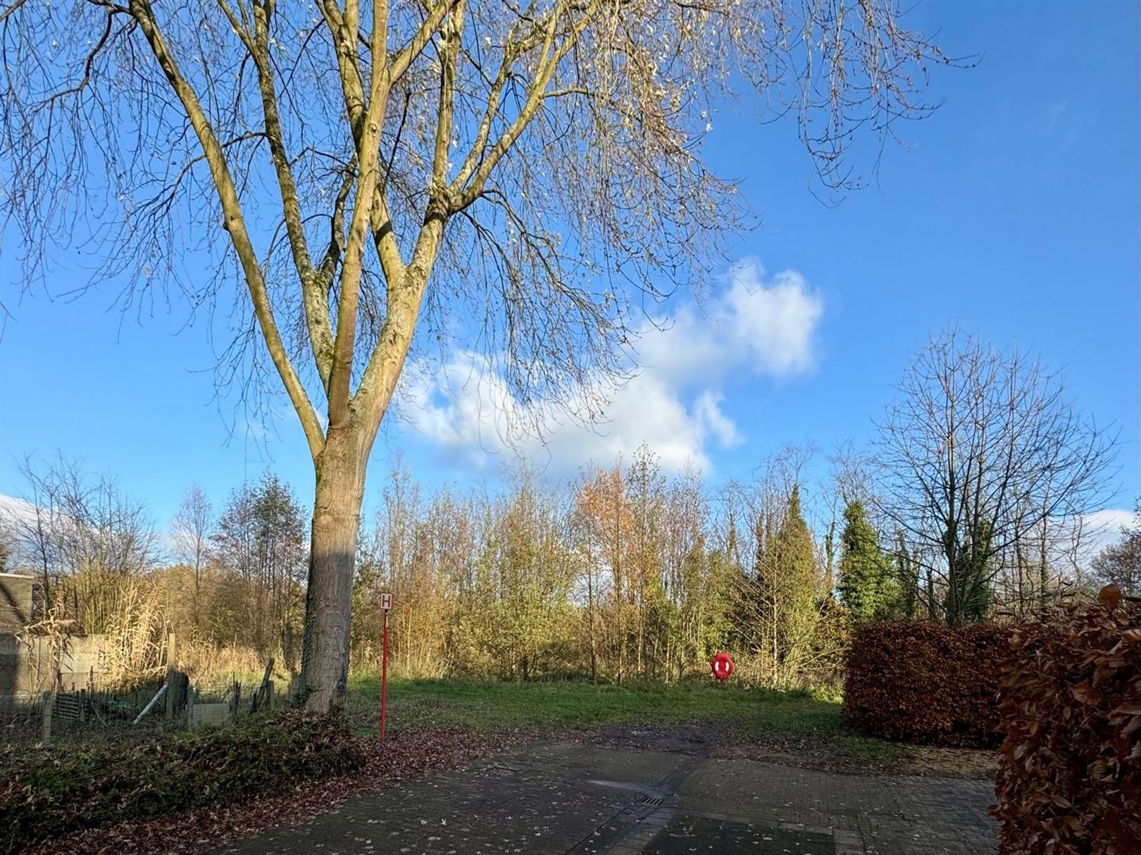 Te renoveren hoekwoning met uitbreidingspotentie foto 25